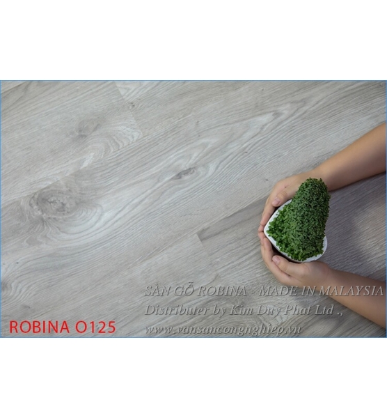 Sàn gỗ Robina 8mm O125